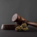 legislation cbd dépénalisation cannabis thérapeutique active cbd