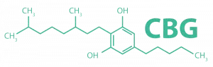 formule-CBG-Cannabigerol-active-cbd-700x221-1