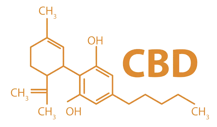 formule-cbd-cannabidiol-active-cbd-700x409-1