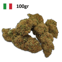 Kompolti cbd production italie par active cbd fond blanc 3 100gr 1