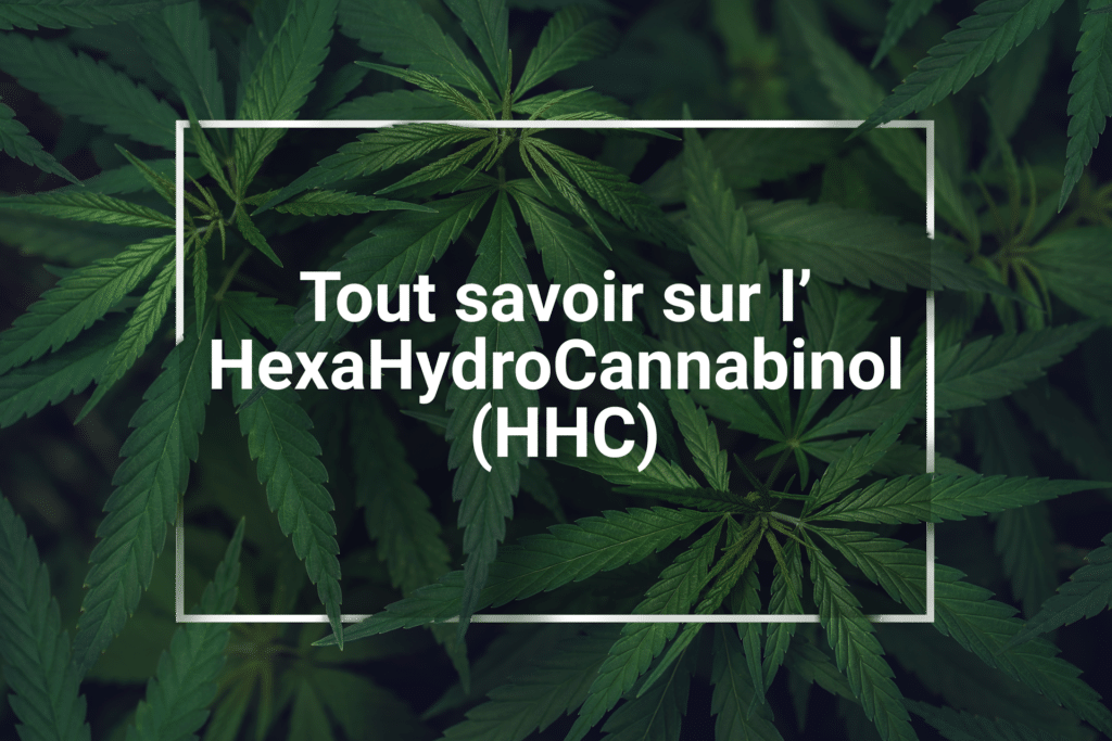 Tout-savoir-sur-le-HexaHydroCannabinol-HHC