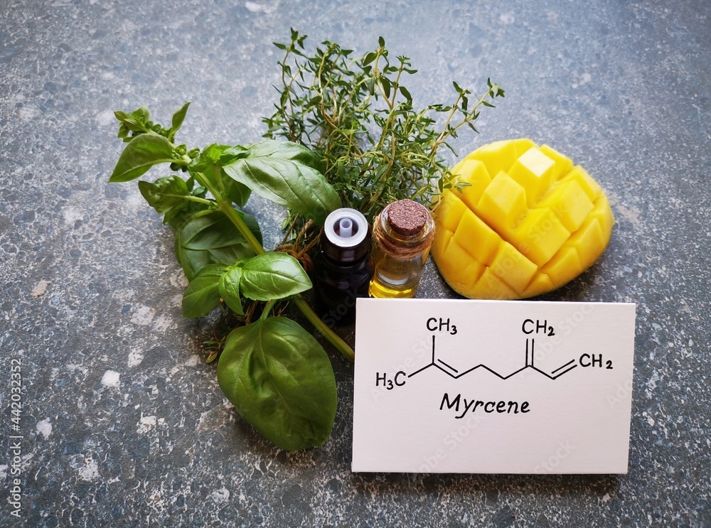 Cannabis Terpenes: Myrcene