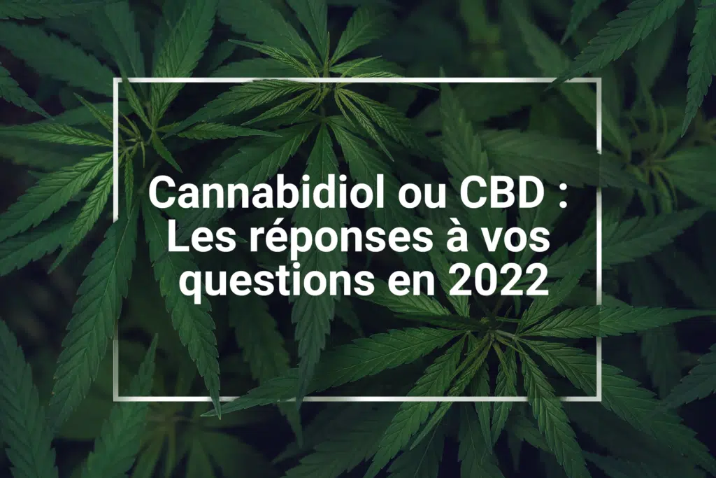 Cannabidiol ou CBD Les reponses a vos questions en 2022