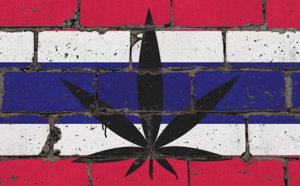 thailand depenalisation cannabis chanvre