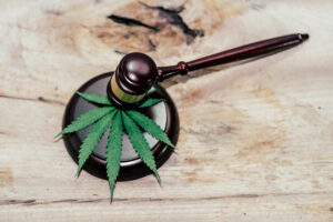 CBD-Le-Conseil-d'Etat-met-fin-à-l'interdiction-de-la-vente-de-fleurs-de-cannabis-chargées-en-CBD-en-France